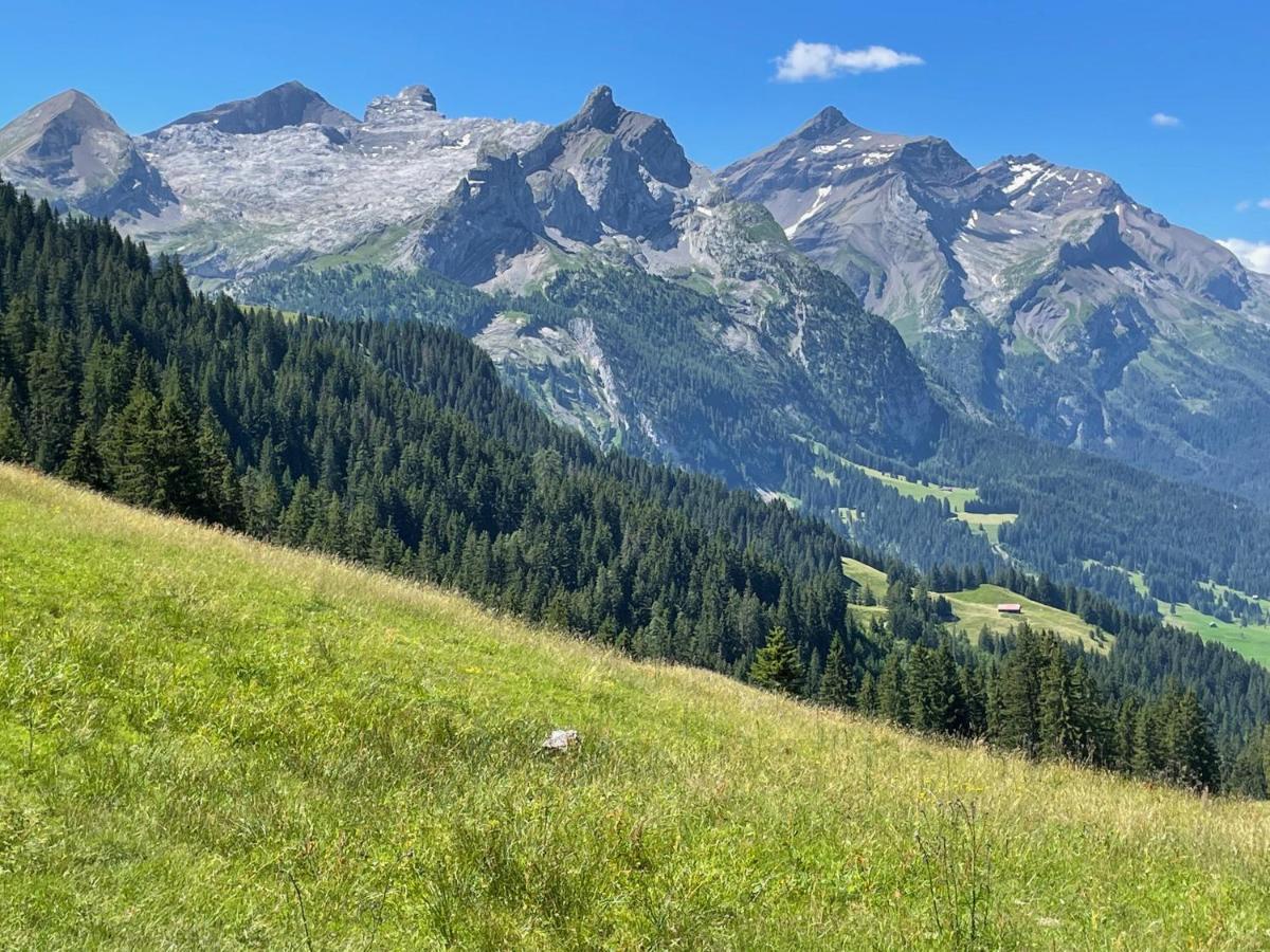 Alpen Charme - Chalet D'Hotes Et Spa Gsteig Ngoại thất bức ảnh